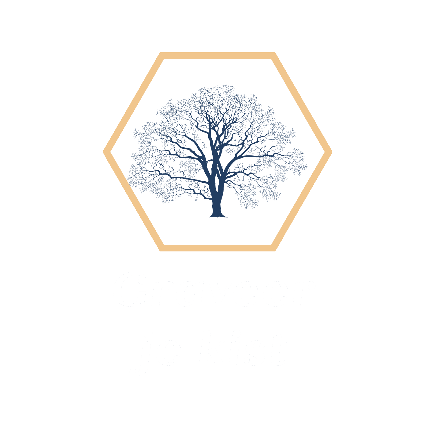 Logo van Graveer je kist